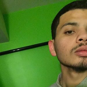 Meet your Posher, Hector